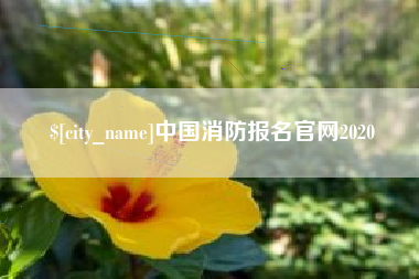 平阳中国消防报名官网2020
