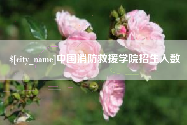 平阳中国消防救援学院招生人数
