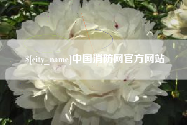 平阳中国消防网官方网站