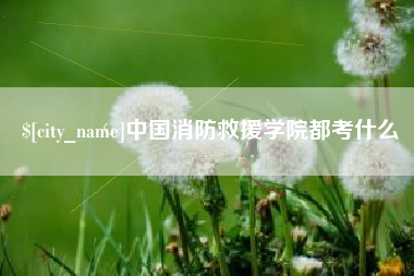 平阳中国消防救援学院都考什么