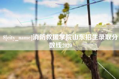 平阳消防救援学院山东招生录取分数线2020