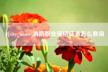 平阳消防职业资格证书怎么查询