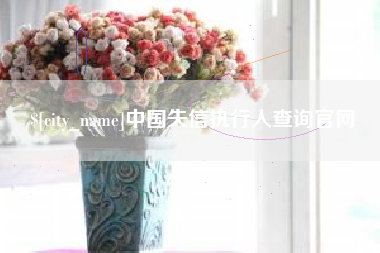 平阳中国失信执行人查询官网