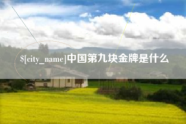 平阳中国第九块金牌是什么