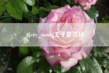 平阳王子豪百科