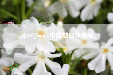 平阳中国地图像素版