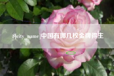 平阳中国有哪几枚金牌得主