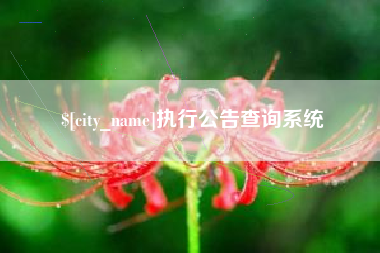 平阳执行公告查询系统