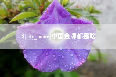 平阳中国金牌都是啥