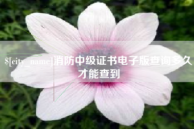 平阳消防中级证书电子版查询多久才能查到