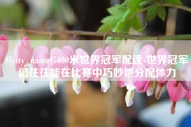 平阳5000米世界冠军配速-世界冠军们往往能在比赛中巧妙地分配体力