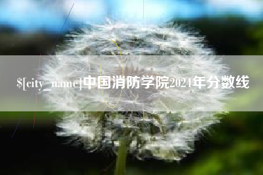 平阳中国消防学院2024年分数线