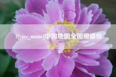 平阳中国地图全图带省份
