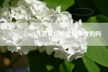 平阳九宫星位是定位不变的吗