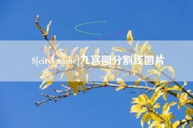 平阳九宫图分割线图片
