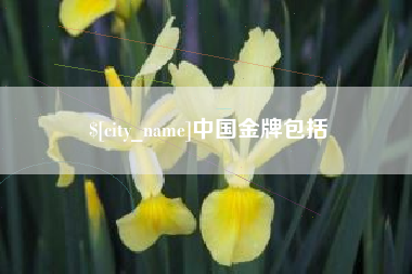 平阳中国金牌包括