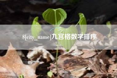 平阳九宫格数字排序