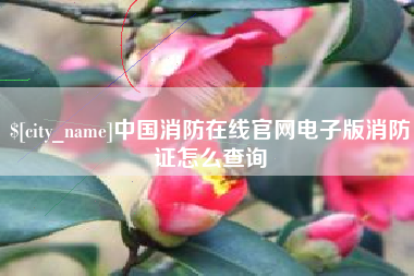平阳中国消防在线官网电子版消防证怎么查询