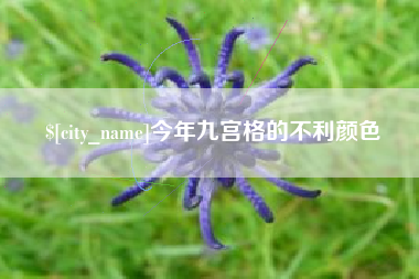 平阳今年九宫格的不利颜色