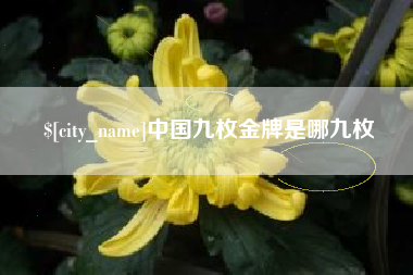 平阳中国九枚金牌是哪九枚