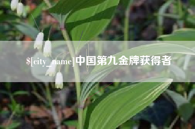 平阳中国第九金牌获得者