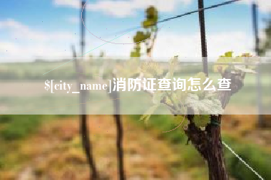 平阳消防证查询怎么查