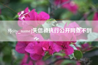平阳失信被执行公开网查不到