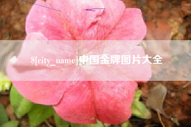 平阳中国金牌图片大全