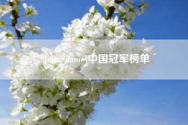 平阳中国冠军榜单