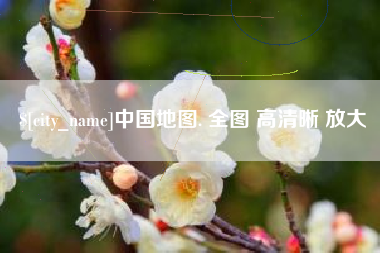 平阳中国地图. 全图 高清晰 放大