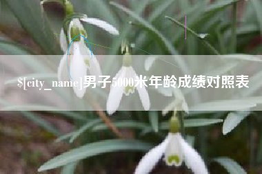 平阳男子5000米年龄成绩对照表