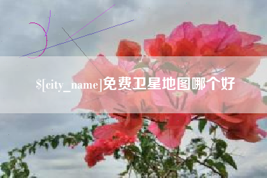 平阳免费卫星地图哪个好