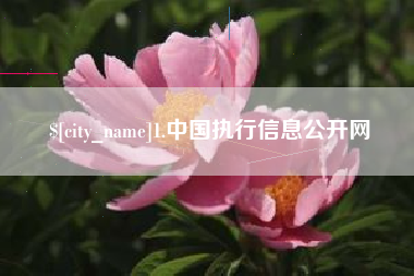平阳1.中国执行信息公开网