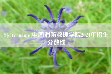 平阳中国消防救援学院2024年招生分数线