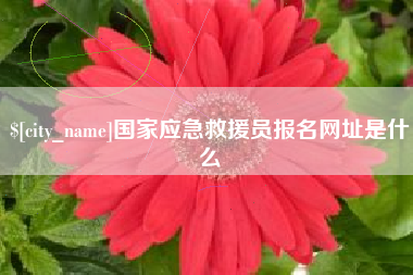 平阳国家应急救援员报名网址是什么