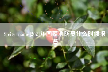 平阳2021年国家消防员什么时候报名