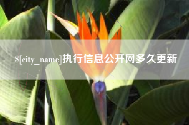 平阳执行信息公开网多久更新