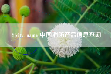 平阳中国消防产品信息查询