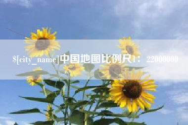 平阳中国地图比例尺1：22000000