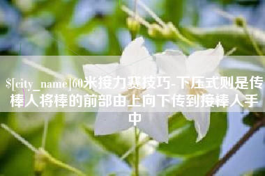 平阳60米接力赛技巧-下压式则是传棒人将棒的前部由上向下传到接棒人手中