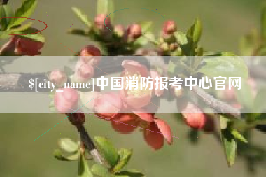 平阳中国消防报考中心官网