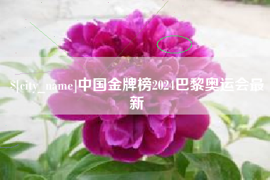 平阳中国金牌榜2024巴黎奥运会最新