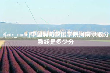 平阳中国消防救援学院河南录取分数线是多少分