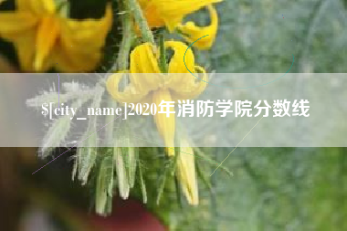 平阳2020年消防学院分数线