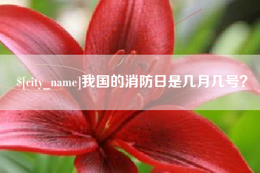 平阳我国的消防日是几月几号？