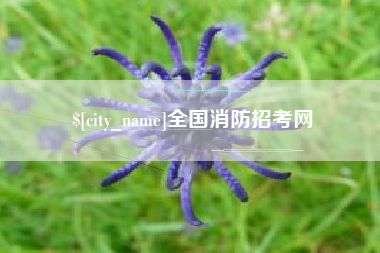 平阳全国消防招考网
