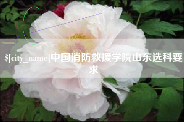 平阳中国消防救援学院山东选科要求