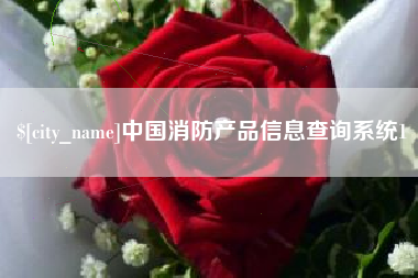 平阳中国消防产品信息查询系统1