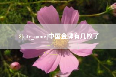 平阳中国金牌有几枚了