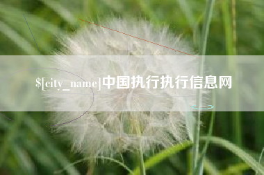 平阳中国执行执行信息网